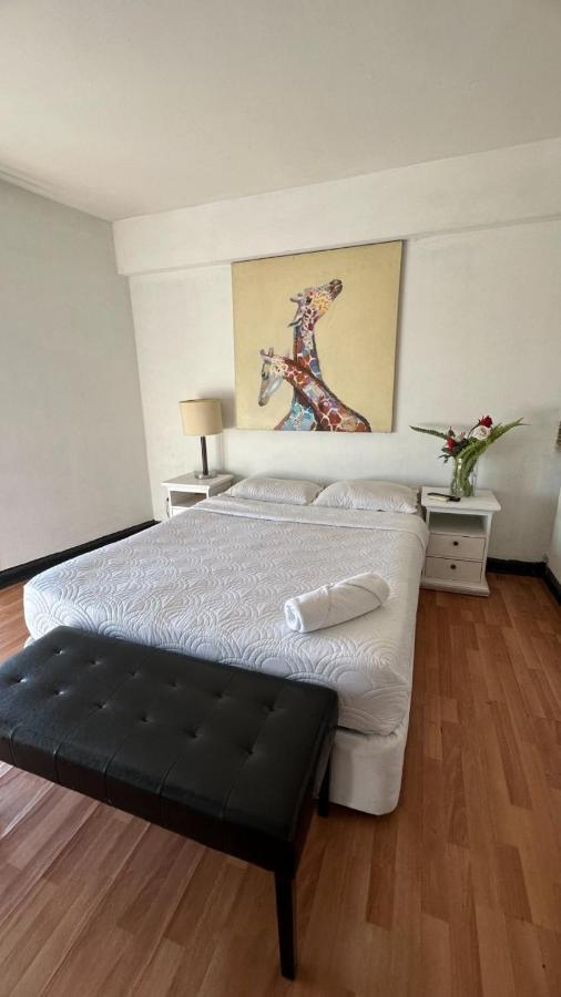 Hotel Parque Forestal サンティアゴ エクステリア 写真